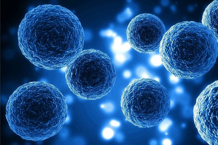 te contamos todo sobre el ayuno intermitente 