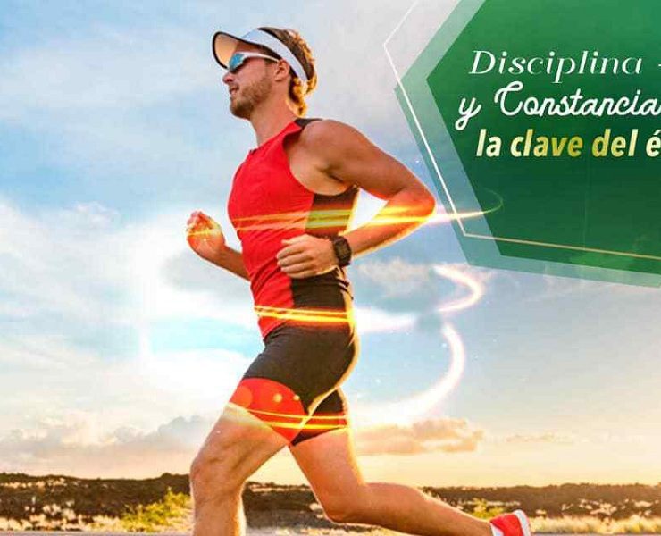 La constancia y la disciplina son la clave del éxito