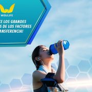 Qué son los factores de transferencia y por qué son tan importantes