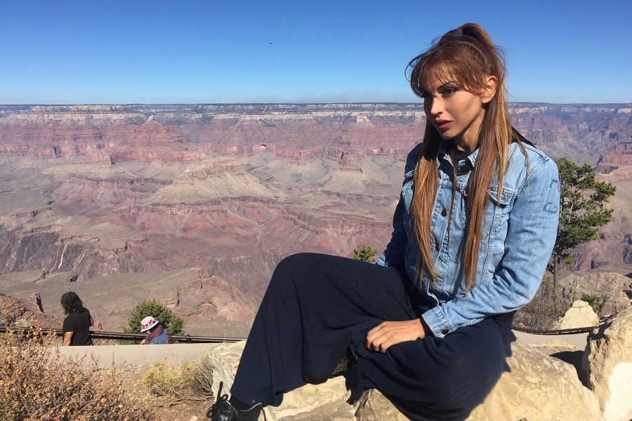 Te presentamos a la consultora